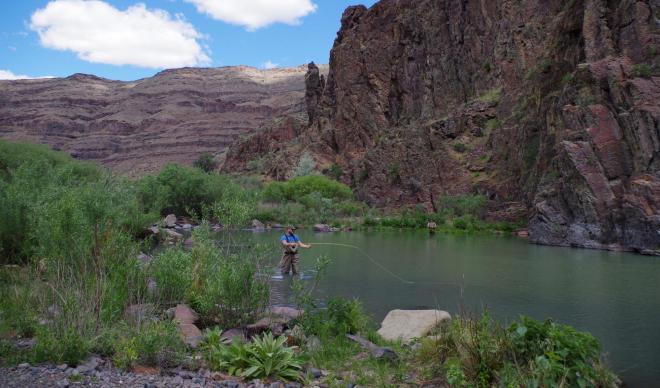 A student fly fishing in a canyon