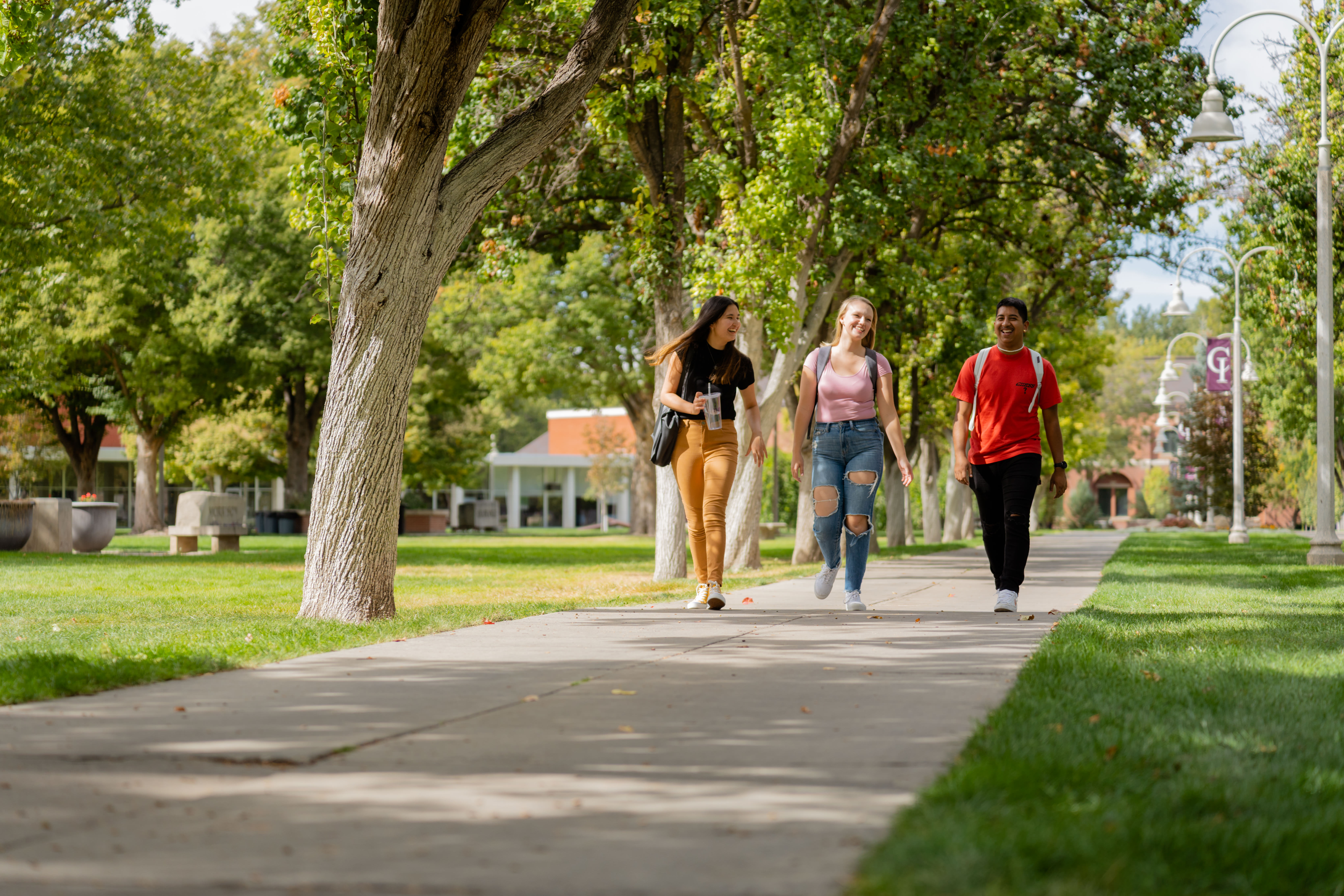 Students Walking on Campus