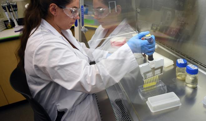 C of I senior Claire Otero works in a Boone Hall laboratory.