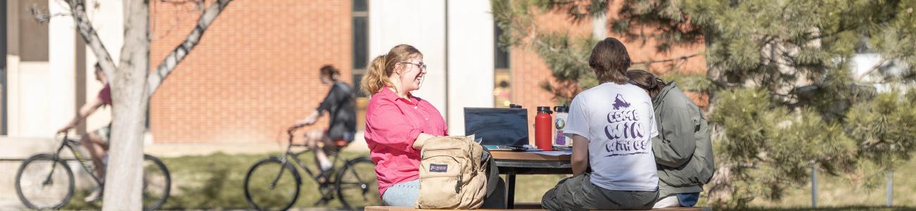 students studying on the quad