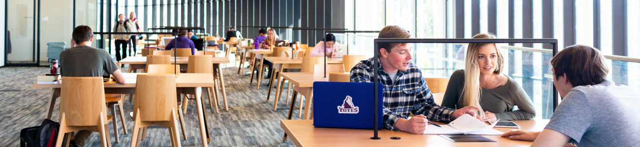 Students in the library