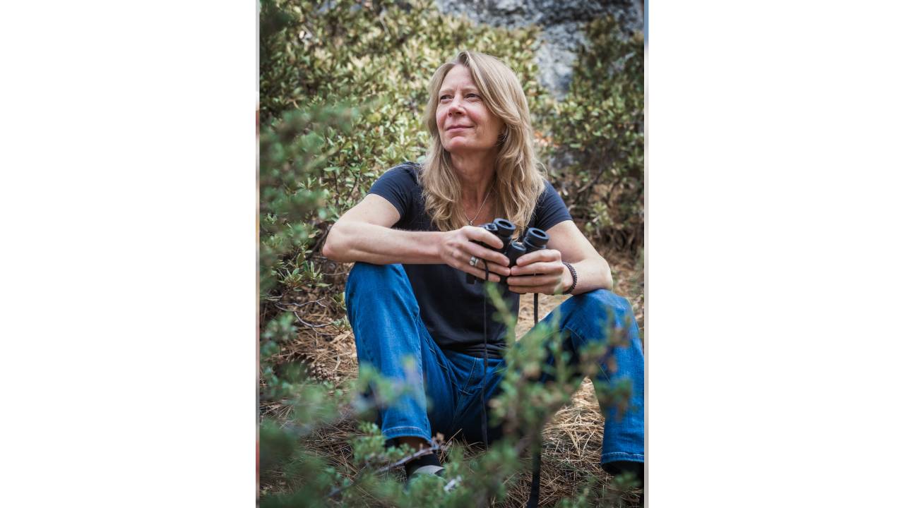 Quest Literary Legacy Environmental Insight