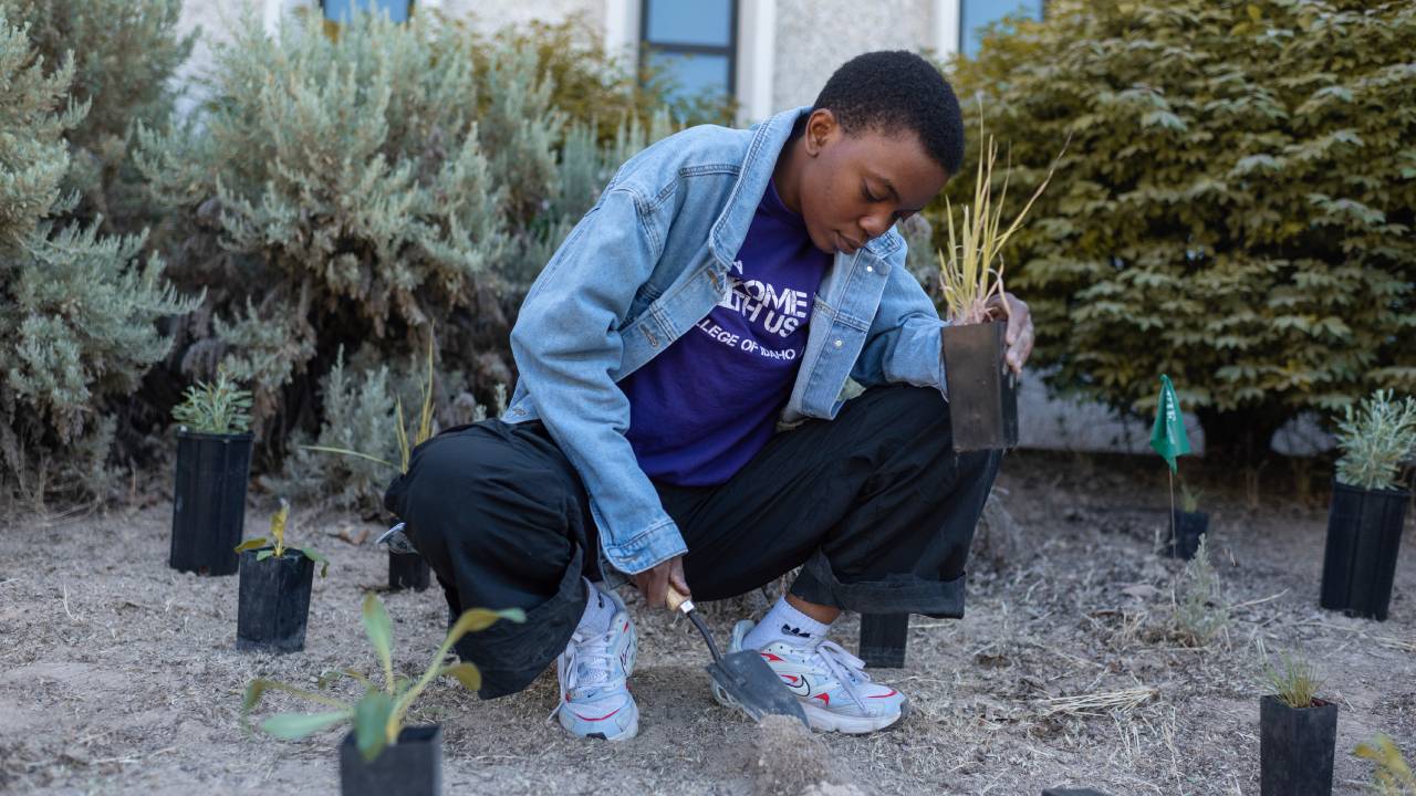 Native Habitat Planting Party College Idaho