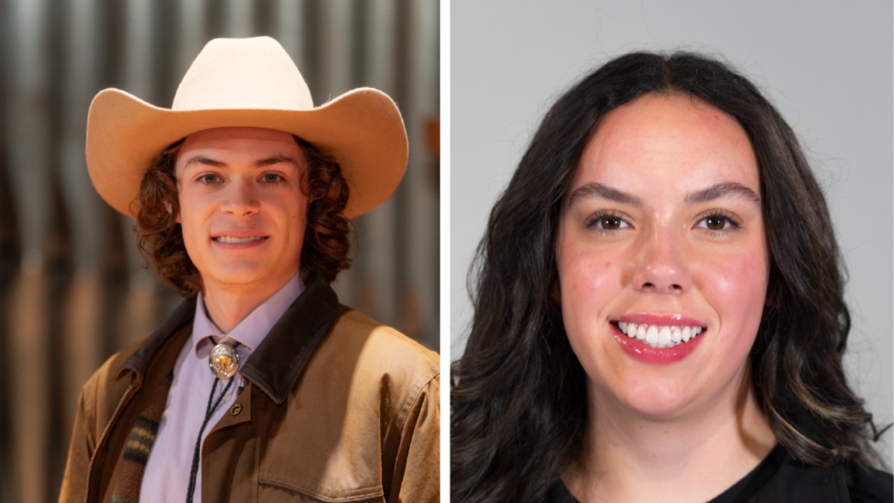 Brain Tumor Research Award