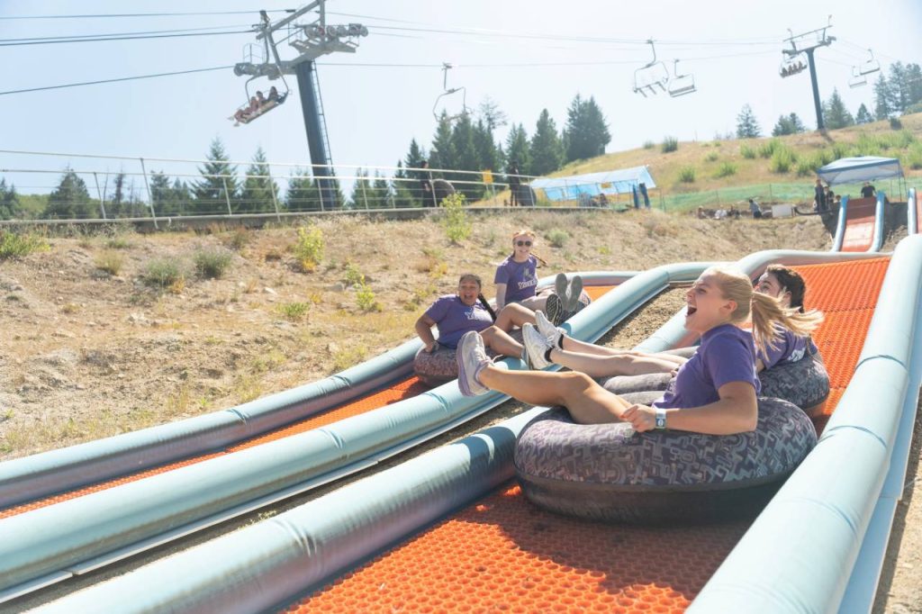 Undergraduate Application Process