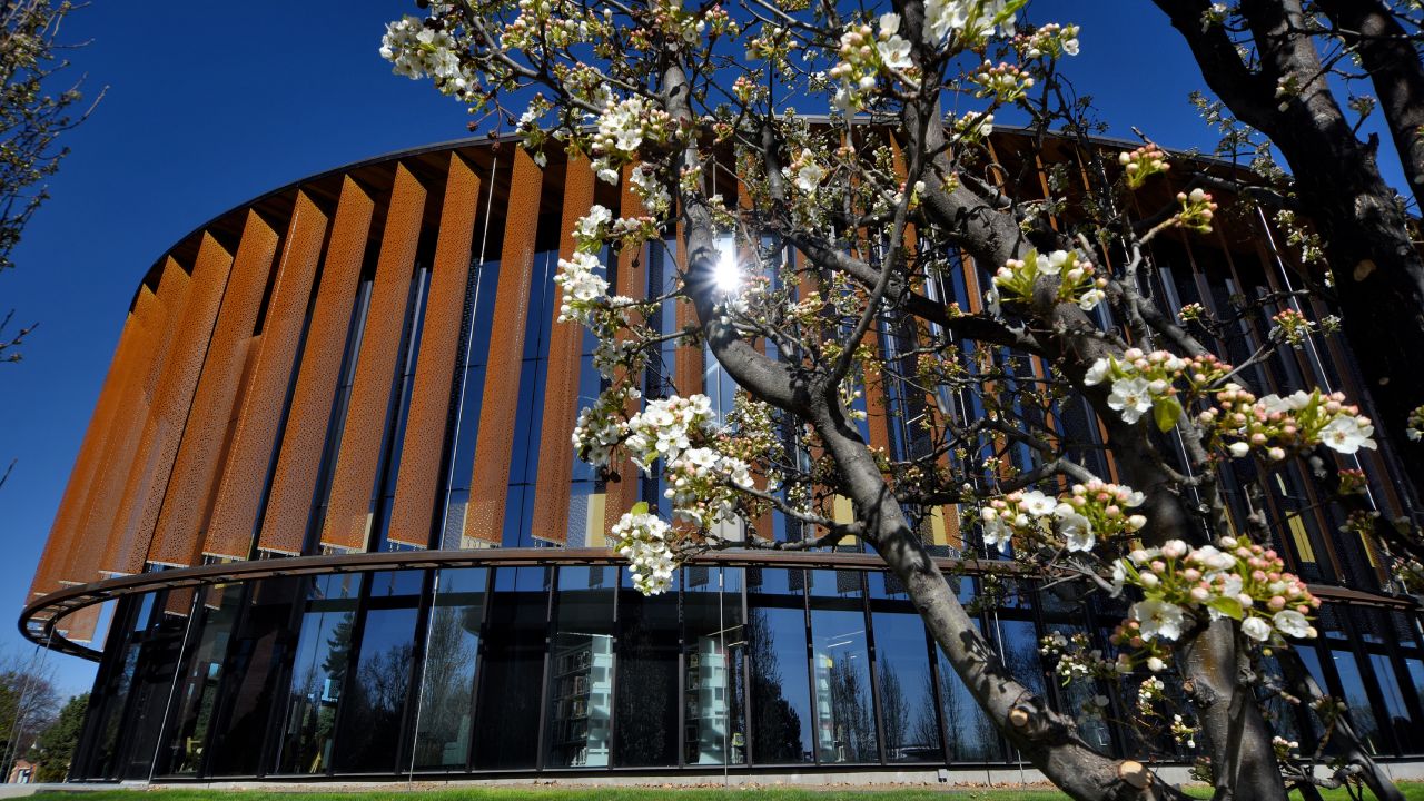 Debbie Cruzen Murray Honored Official Library Dedication-event