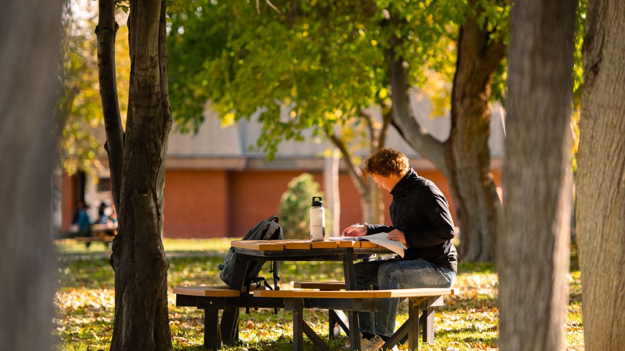 Enrollment Strong College High Rank West